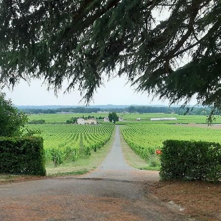 A L'Ombre De La Treille -Proche Saint-Emilion B&B 외부 사진