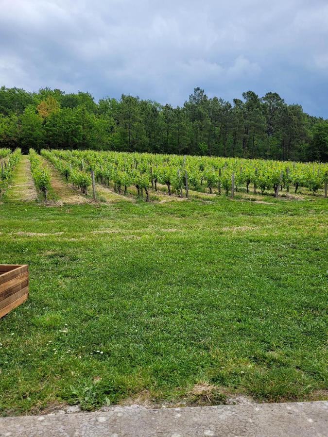 A L'Ombre De La Treille -Proche Saint-Emilion B&B 외부 사진