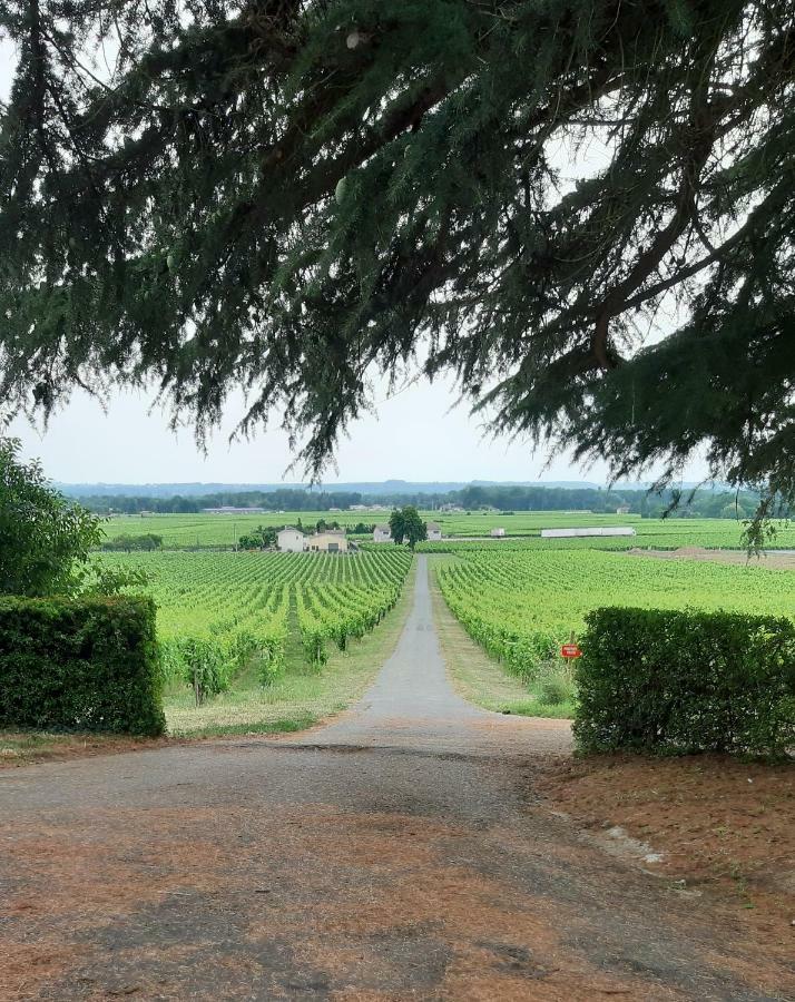 A L'Ombre De La Treille -Proche Saint-Emilion B&B 외부 사진